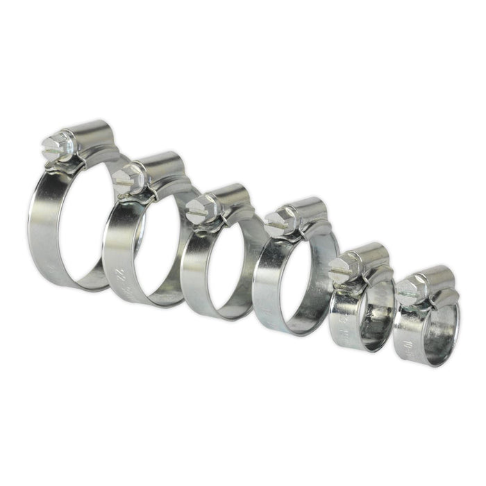 Sealey Hose Clip Assortment 30pc8-29mm Zinc Plated SHCS1 Sealey - Dynamic Drive
