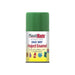 Plastikote Fast Dry Enamel Aerosol Garden Green 100ml PlastiKote - Dynamic Drive