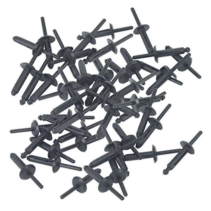 Sealey Plastic Rivet 6.3 x 25.2mm Pack of 50 PR002 Sealey  - Dynamic Drive