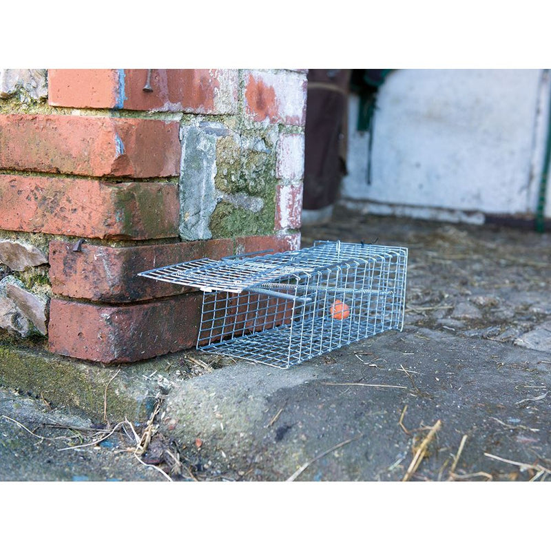 Fixman Rat Cage Trap 300 x 150 x 130mm Fixman - Dynamic Drive
