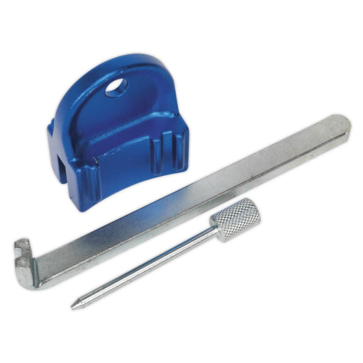 Sealey Petrol Engine Timing Tool Kit for GM Saab Chevrolet EcoTec 1.4 1.6 1.8 1 Sealey - Dynamic Drive
