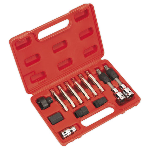 Sealey Alternator Freewheel Removal Set 13pc SX401 Sealey - Dynamic Drive