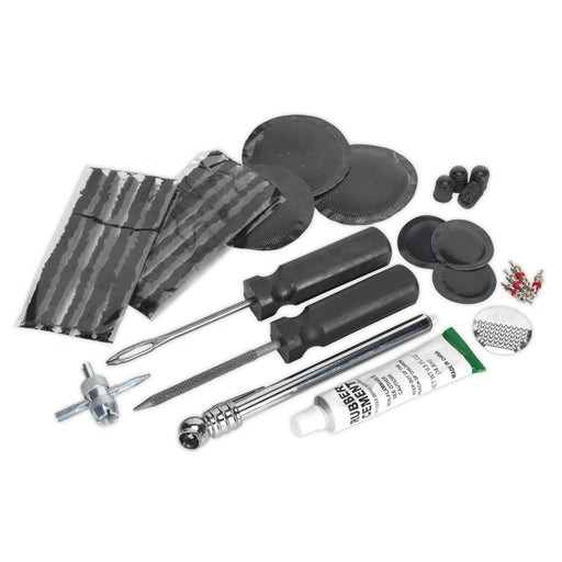 Sealey Temporary Puncture Repair & Service Kit TST09 Sealey - Dynamic Drive