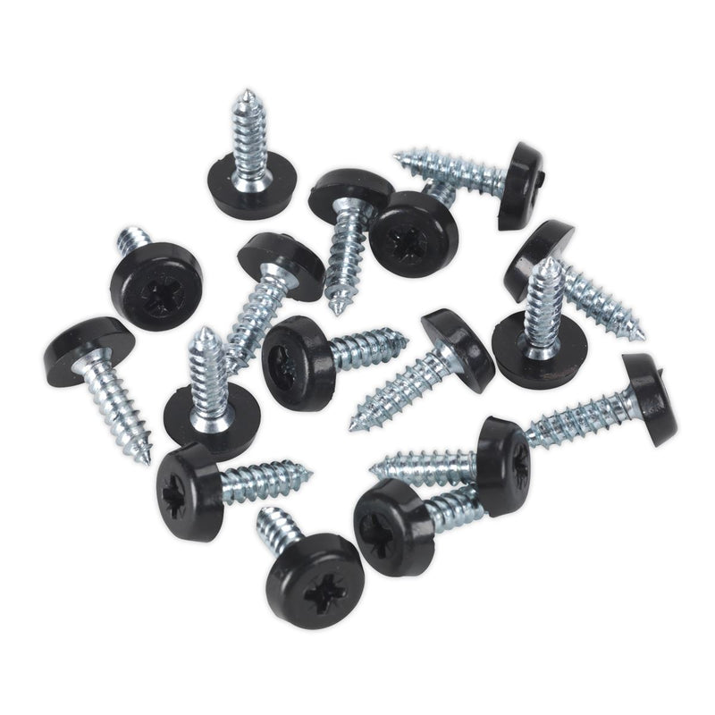 Sealey Clip Strip Deal - Mixed Numberplate Screws NPSSET Sealey - Dynamic Drive