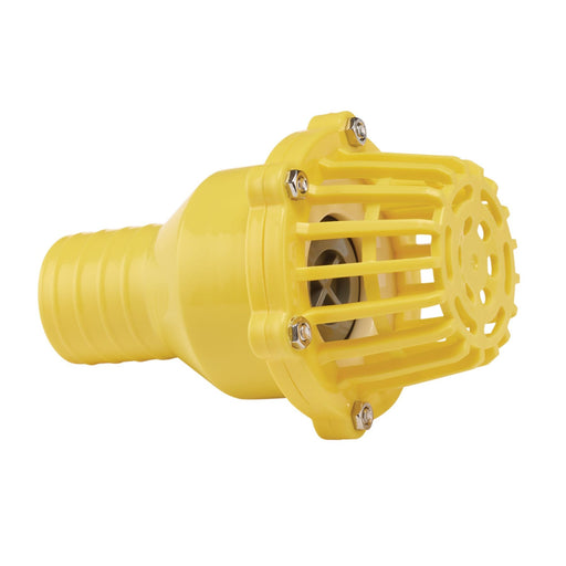 Draper Foot Valve Strainer, 50mm/2" 19548 Draper - Dynamic Drive