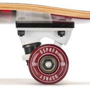 Vw 1 And Only - 31" Double Kick SK0066 VW - Dynamic Drive