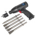 Sealey Air Hammer Kit Composite Premier Medium Stroke SA613 Sealey - Dynamic Drive