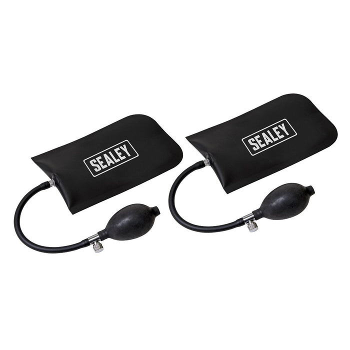 Sealey Panel Bag Set 2pc VS9111 Sealey - Dynamic Drive