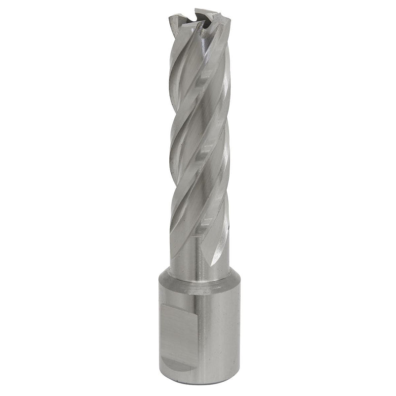 Sealey Rotabor Cutter HSS14mm Cut Depth 50mm RBHSS14L Sealey - Dynamic Drive