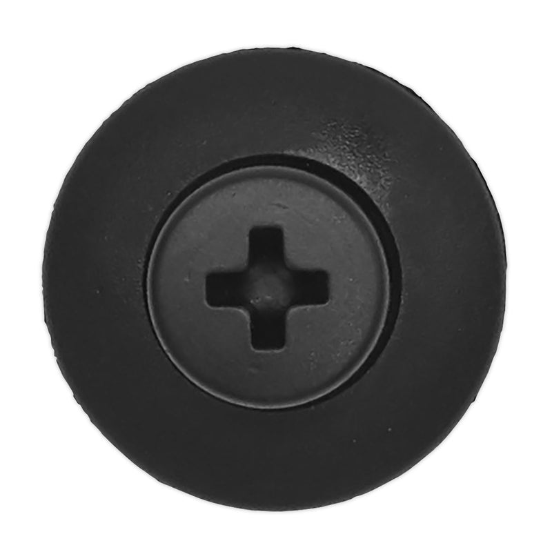 Sealey Screw Rivet20mm x 30mm Ford Kia Mazda Nissan Pack of 20 TCSR2023 Sealey - Dynamic Drive
