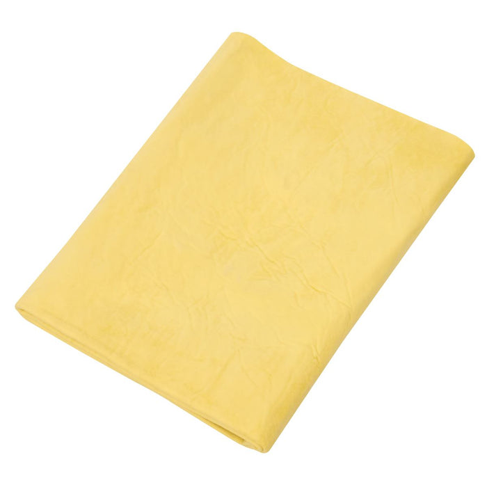 Sealey PVA Chamois 2.5ft² CC92 Sealey - Dynamic Drive