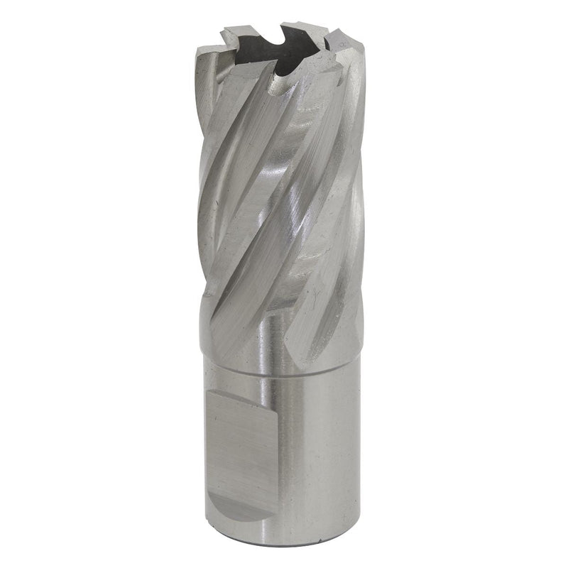 Sealey Rotabor Cutter HSS20mm Cut Depth 25mm RBHSS20S Sealey - Dynamic Drive