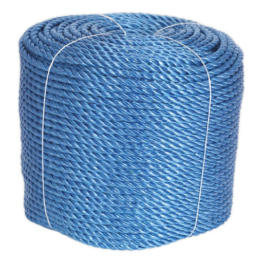 Sealey Polypropylene Rope 6mm x 220m RC06220 Sealey - Dynamic Drive
