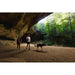 Ruffwear Front Range Dog Harness in Red Canyon (X Small) Ruffwear - Dynamic Drive