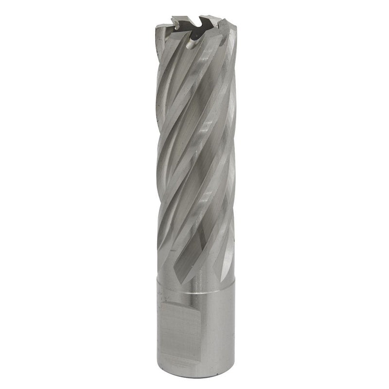 Sealey Rotabor Cutter HSS19mm Cut Depth 50mm RBHSS19L Sealey - Dynamic Drive