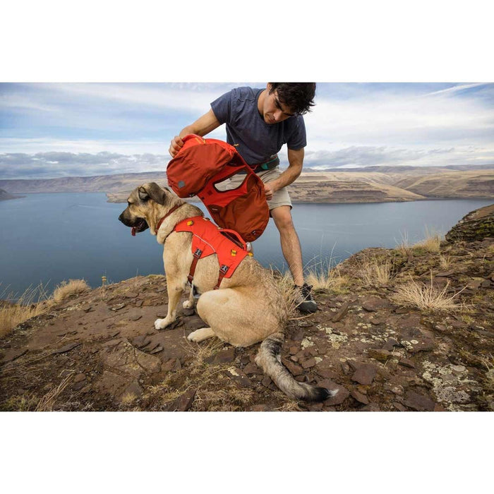 Ruffwear Palisades Dog Backpack in Red Sumac (Medium) Ruffwear - Dynamic Drive