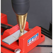 Sealey Drill Stand with Cast Iron Base 500mm & 65mm Vice DS01 Sealey - Dynamic Drive