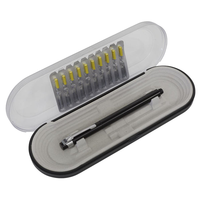 Sealey Paint Dirt Removal Pen with Needle Set MK78 Sealey - Dynamic Drive