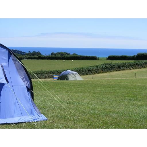 50 x 8" Heavy Duty Galvanised Steel Tent Pegs Metal Camping Ground Sheet Anchor Via Mondo  - Dynamic Drive