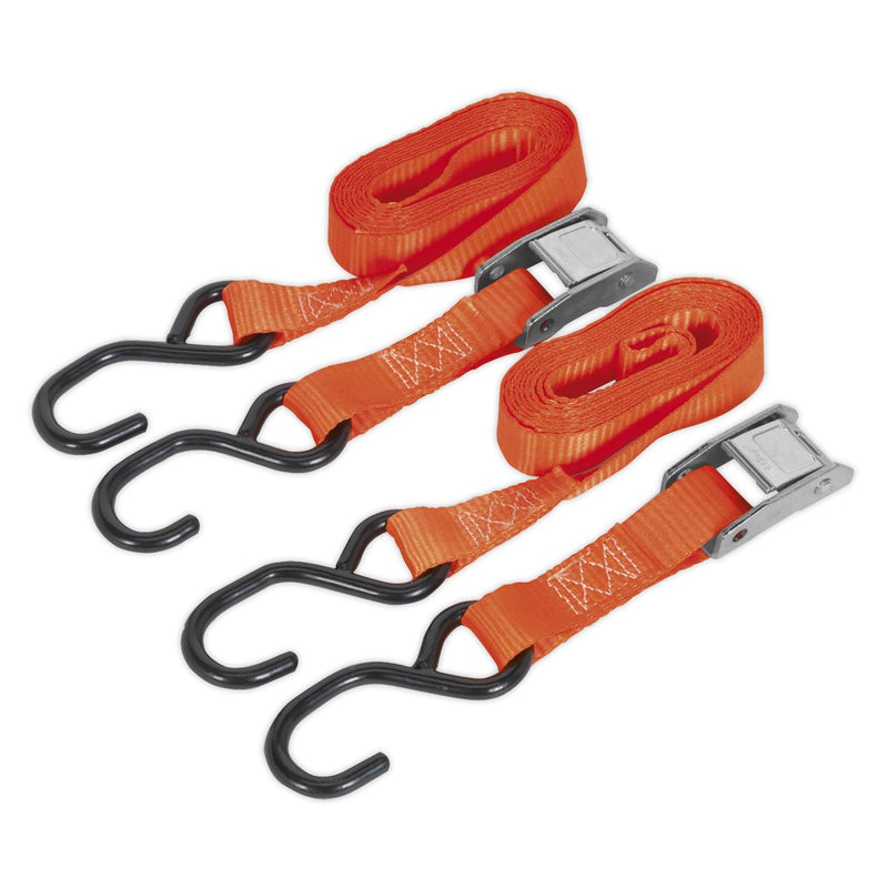 Sealey Cam Buckle Tie Down 25mm x 2.5m Polyester Webbing with S-Hooks 500kg Brea Sealey - Dynamic Drive