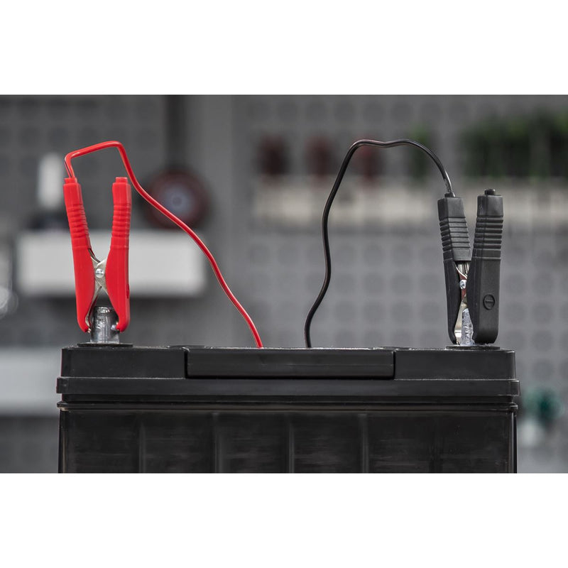 Sealey DSBC6 Battery Charger 12V 6Amp 230V Automatic Car / Bike / Van 20-80Ah Sealey  - Dynamic Drive