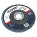 Sealey Flap Disc Zirconium 125mm 22mm Bore 80Grit FD12580 Sealey  - Dynamic Drive