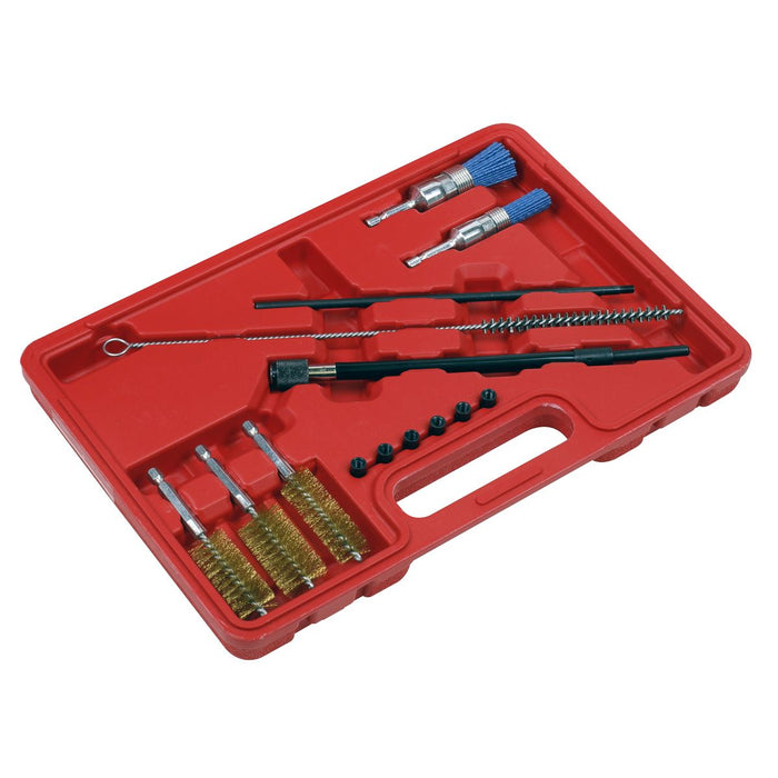 Sealey Cleaning Brush Set Injector Bore 14pc VS1900 Sealey - Dynamic Drive