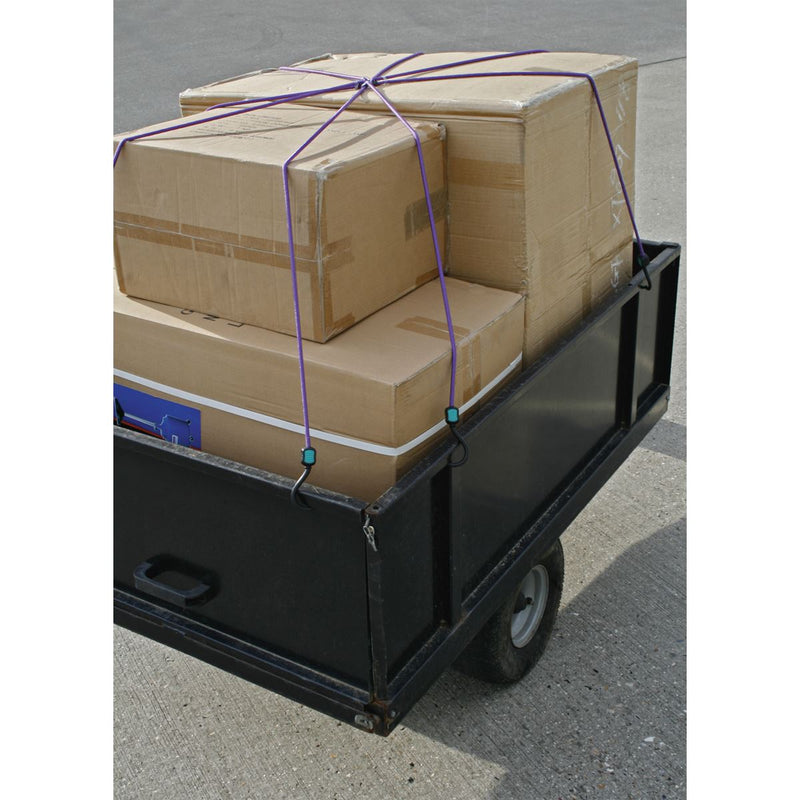 Sealey Bungee Cord 1000mm Octopus BCS23 Sealey - Dynamic Drive