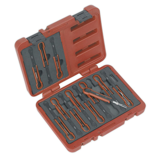 Sealey Universal Cable Ejection Tool Set 15pc VS9201 Sealey - Dynamic Drive