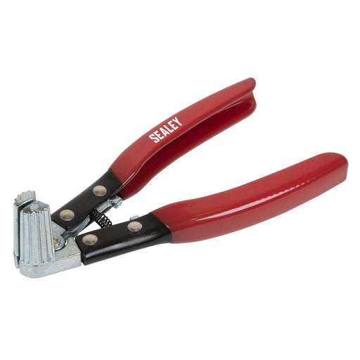 Sealey Terminal Spreader & Cleaner Tool Battery AK423 Sealey - Dynamic Drive