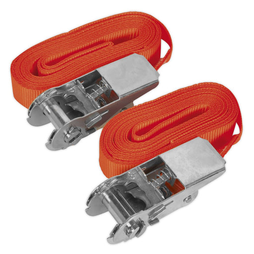 Sealey Self-Securing Ratchet Tie Down 25mm x 4.5m 500kg Breaking Strength Pair Sealey - Dynamic Drive