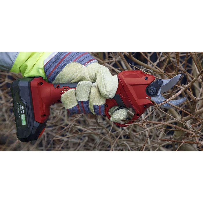 Sealey 2 x SV20 Series Cordless Gardening/Pruning Combo Kit 20V - 2 Batteries Sealey - Dynamic Drive