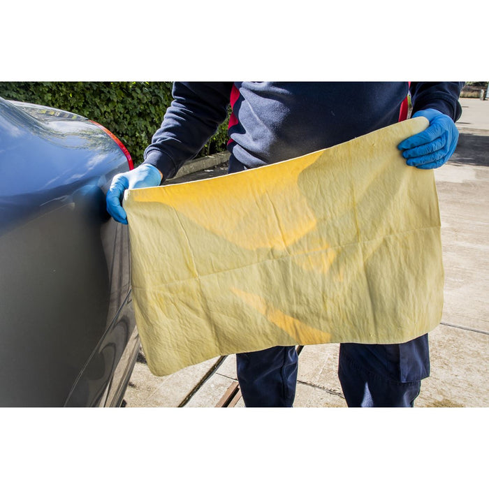 Sealey PVA Chamois 2.5ft² CC92 Sealey - Dynamic Drive
