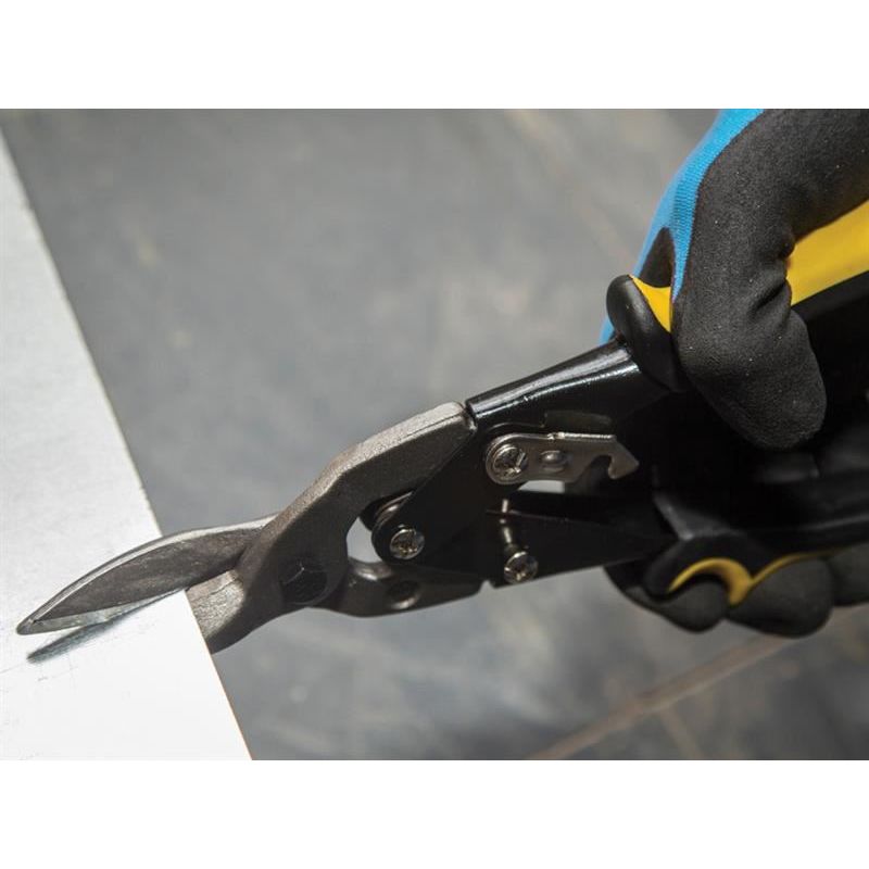 Bluespot Tools Aviation Tin Snips Straight Cut 250mm (10in) BlueSpot Tools - Dynamic Drive