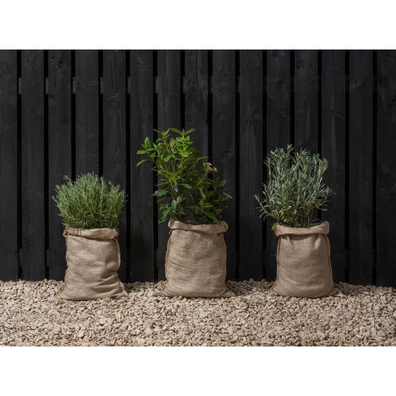 Ronseal Fence Life Plus+ Tudor Black Oak 5 litre Ronseal - Dynamic Drive