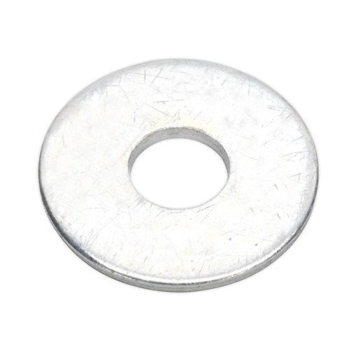 Sealey Repair Washer Assortment 240pc M5-M10 Metric Zinc Plated AB059RW Sealey - Dynamic Drive