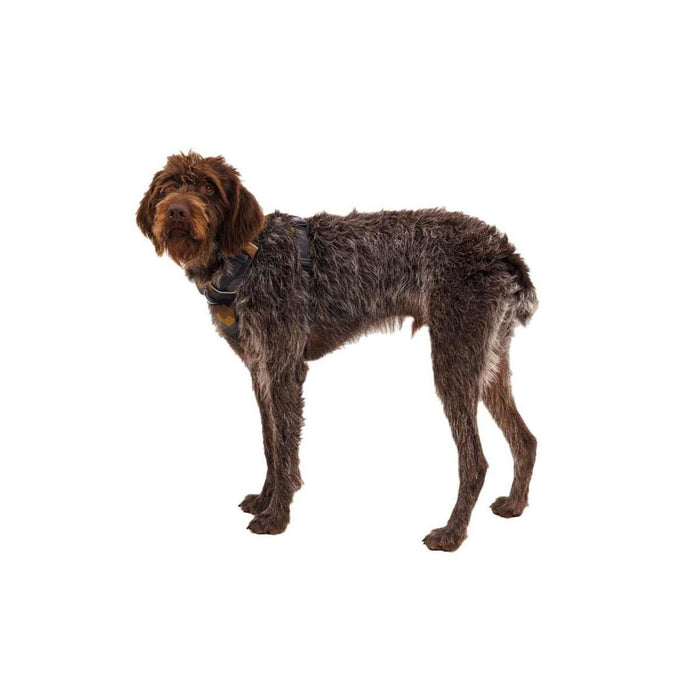 Ruffwear Front Range Dog Harness - Moonlight Mountains Print (Medium) Ruffwear - Dynamic Drive