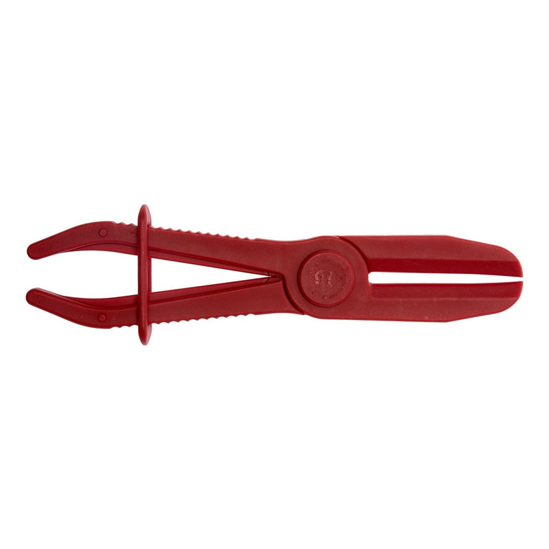 Teng Tools Hose Clamp 19 - 57mm Teng Tools - Dynamic Drive
