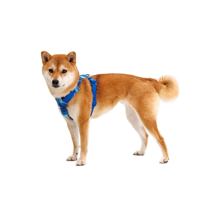 Ruffwear Front Range Dog Harness - Coastal Mountains Print (L / XL) Ruffwear - Dynamic Drive