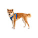 Ruffwear Front Range Dog Harness - Coastal Mountains Print (L / XL) Ruffwear - Dynamic Drive