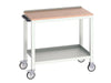 Bott Verso Mobile Welded Bench, Multiplex Wood Top 1000 x 600mm Bott - Dynamic Drive