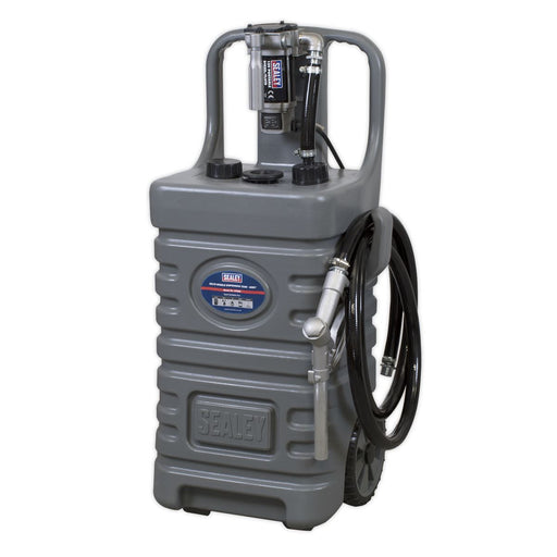 Sealey Mobile Dispensing Tank 55L with Diesel Pump Grey DT55GCOMBO1 Sealey - Dynamic Drive