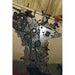 Laser HP Fuel Pump Removal Tool - for Hyundai, Kia 1.6D 8111 Laser - Dynamic Drive