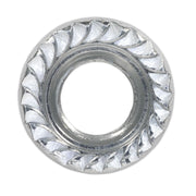 Sealey Flange Nut Serrated M10 Zinc Pack of 100 FN10 Sealey - Dynamic Drive