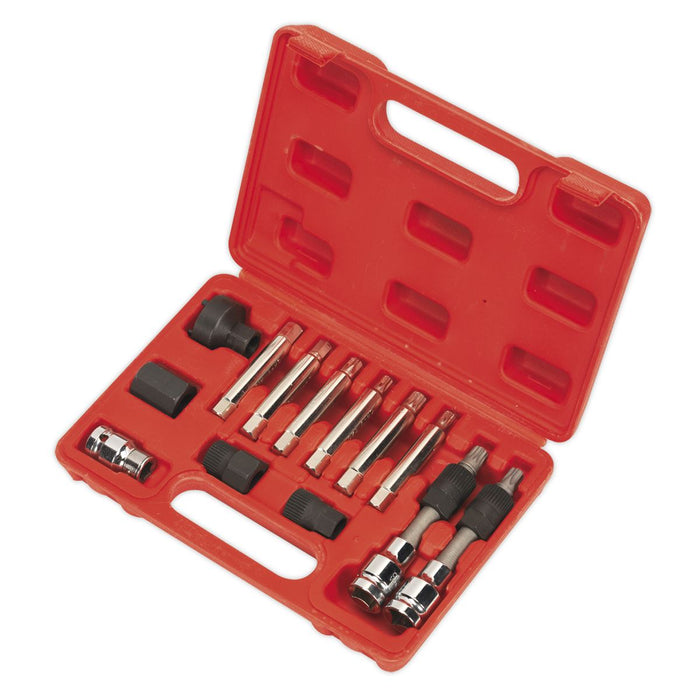 Sealey Alternator Freewheel Removal Set 13pc SX401 Sealey - Dynamic Drive