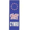 MDS1203 W4 Euro CYMRU Upright Plate Sticker 37147 W4 - Dynamic Drive