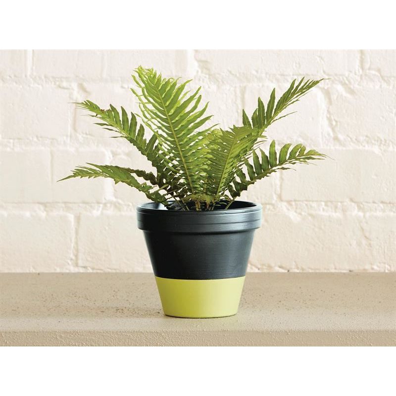 Ronseal Garden Paint Lime Zest 250ml Ronseal - Dynamic Drive