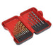 Sealey HSS/Masonry Drill Bit Set 17pc AK3717TCM Sealey - Dynamic Drive