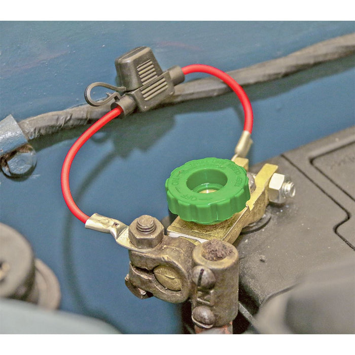 Sealey Battery Terminal & Fuse Holder 12-24V Anti-Theft BTANT1224V Sealey - Dynamic Drive