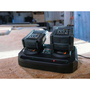 Batavia MAXXPACK Li-ion Dual Charger 240V Batavia - Dynamic Drive